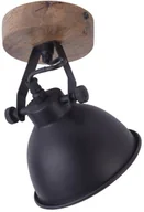 Lampy sufitowe - Leuchten Direkt 11981-18 - Oświetlenie punktowe SAMIA 1xE14/40W/230V czarny - miniaturka - grafika 1