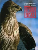 Albumy krajoznawcze - Libra Beskid Niski Libra - miniaturka - grafika 1