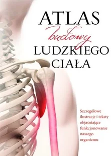 Olesiejuk Sp. z o.o. Atlas budowy ludzkiego ciała w.2015 - Pomoce naukowe - miniaturka - grafika 2
