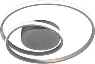 RL ZIBAL Tytanowy LED 22W ściemnialna 3000K Lampa sufitowa R62911187 - Lampy sufitowe - miniaturka - grafika 2