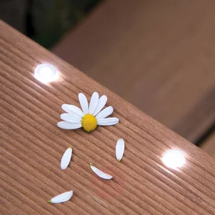 Paulmann Micro Boden LED zestaw opraw IP67 z zasilaczem - Oprawy, klosze i abażury - miniaturka - grafika 4