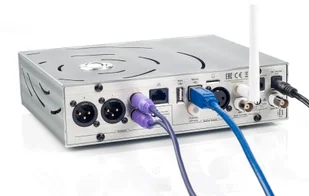 iFi Audio Pro iDSD - Wzmacniacze iFi Audio Pro iDSD - Wzmacniacze - miniaturka - grafika 3