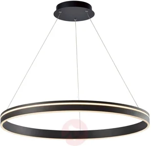 Paul Neuhaus Inteligentna lampa sufitowa ciemnoszara 79 cm z pilotem - Ronith - Systemy inteligentnych domów - miniaturka - grafika 2