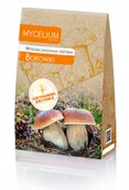 Nasiona i cebule - Borowiki wyselekcjonowana grzybnia Certyfikowana - miniaturka - grafika 1