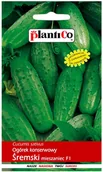 Nasiona i cebule - Plantico Ogórek gruntowy Śremski F1 - miniaturka - grafika 1