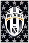 Dekoracje domu - Artopweb Logo Juventus paneli (61 x 91 cm) EC20353 - miniaturka - grafika 1