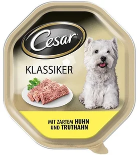 Cesar Kurczak i indyk 150g - Mokra karma dla psów - miniaturka - grafika 3
