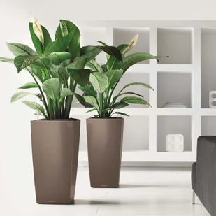 Lechuza Donica Cubico 50 ALL-IN-ONE, taupe, wysoki połysk, 18168 - Donice - miniaturka - grafika 4