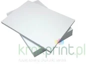 Papier do drukarek - Epson Papier uniwersalny Photo 10x15 cm 50 ark 180g - miniaturka - grafika 1