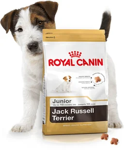 Royal Canin Jack Russel Junior 3 kg - Sucha karma dla psów - miniaturka - grafika 5