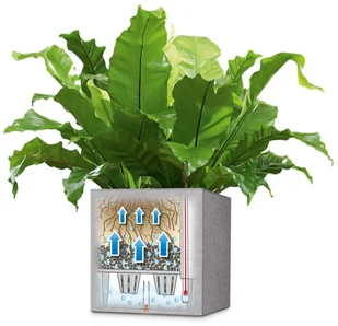 Lechuza Donica CANTO Stone Kostka 30 biały kwarcowy CANTO S. KOS 30 KWAR - Donice - miniaturka - grafika 4