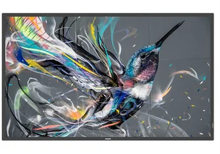 Philips Q-Line 32BDL3510Q/00 - Monitory reklamowe i wyświetlacze Philips Q-Line 32BDL3510Q/00 - Monitory reklamowe i wyświetlacze - miniaturka - grafika 1