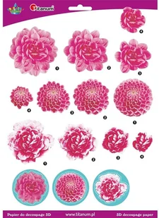 Papier 3D do decupage 22005 - Decoupage - miniaturka - grafika 2