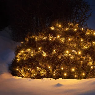 Markslojd Siatka świetlna Chrissline Extra 100 LED 2 300 K - Oświetlenie świąteczne - miniaturka - grafika 2