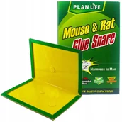 Zwalczanie i odstraszanie szkodników - 10x Myszołapka Pułapka Na Myszy Klejowa Myszolep - miniaturka - grafika 1