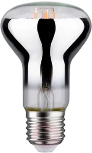 Paulmann Lampa do doświetlania kwiatów E27 R63 6,5W - Żarówki LED - miniaturka - grafika 2