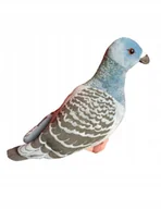 Maskotki i pluszaki - Maskotka Pluszowy Gołąb Zoo Ptak 22 cm - miniaturka - grafika 1