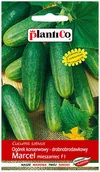 Nasiona i cebule - Plantico Ogórek Marcel F1 - miniaturka - grafika 1