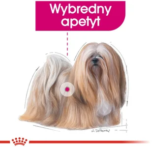 Royal Canin CCN Exigent 12x85g karma mokra pasztet dla psów dorosłych wybrednych 25441-uniw - Mokra karma dla psów Royal Canin CCN Exigent 12x85g karma mokra pasztet dla psów dorosłych wybrednych 25441-uniw - Mokra karma dla psów - miniaturka - grafika 5