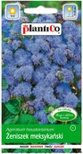 Nasiona i cebule - Plantico Żeniszek meksykański Mini - miniaturka - grafika 1