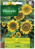 Nasiona i cebule - Vilmorin Nasiona słonecznik Sunspot - miniaturka - grafika 1