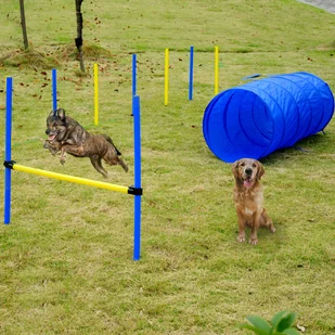 PawHut AGILITY TUNEL SŁUPKI DO ĆWICZEŃ DLA PSÓW - Artykuły szkoleniowe - miniaturka - grafika 2