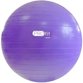 Piłki do ćwiczeń - ProFit Piłka gimnastyczna Proft 55 cm fioletowa z pompką DK 2102 P5108-0 - miniaturka - grafika 1
