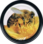 Akcesoria do hodowli zwierząt - Zakrętki na słoiki wieczka miód fi 82(740 szt)ND25 - miniaturka - grafika 1