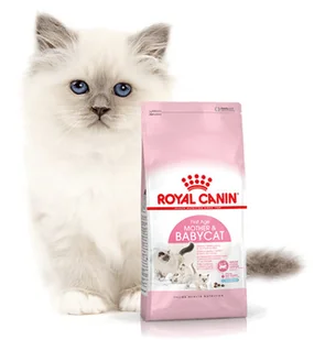 Royal Canin Mother&Babycat 4kg + Mysz w futerku na wędce! 227700 - Mokra karma dla kotów - miniaturka - grafika 2