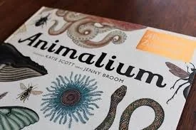 Dwie siostry Animalium. Muzeum Zwierząt - JENNY BROOM - Albumy - przyroda - miniaturka - grafika 2