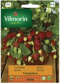 Nasiona i cebule - Vilmorin Nasiona truskawka Temptation - miniaturka - grafika 1