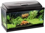 Akwaria i zestawy akwarystyczne - Aquael Akwarium proste, zestaw akwarystyczny Aqua4Start AQUA SZUT, 60 cm - miniaturka - grafika 1