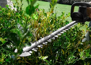 STIGA SHT 700 AE BEZ AKU - Nożyce do żywopłotu - miniaturka - grafika 8