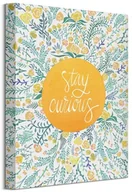 Obrazy i zdjęcia - Pyramid Posters Stay Curious - Obraz na płótnie WDC92757 - miniaturka - grafika 1