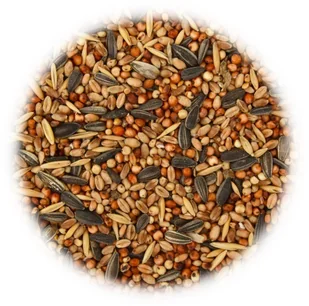 VidaXL Karma dla ptaków, 25 kg 170898         VidaXL - Karma dla ptaków - miniaturka - grafika 2