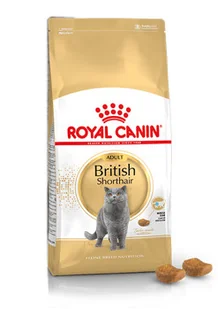 Royal Canin Adult British Shorthair 2 kg - Sucha karma dla kotów - miniaturka - grafika 2
