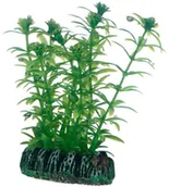 Dekoracje do akwarium - Hobby lagarosiphon, 7 cm - miniaturka - grafika 1