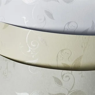 Argo Papier ozdobny Liana krem 100g/m2 - opk 50ark/A4 206502 - Papier do drukarek - miniaturka - grafika 2