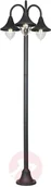 Lampy ogrodowe - LINDBY Lindby Edric lampa na maszt - miniaturka - grafika 1