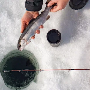 Stanley Podróżny kubek termiczny Adventure 0,23 l - black matte 10-02887-067 - Kubki termiczne - miniaturka - grafika 7