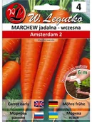 Nasiona i cebule - Legutko Marchew AMSTERDAM 2 - miniaturka - grafika 1