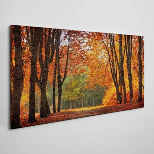 PL Coloray Obraz Canvas las jesień przyroda 100x50cm - Obrazy i zdjęcia - miniaturka - grafika 4