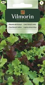 Nasiona na kiełki - Vilmorin Mieszanka sweet Mesclun na kiełki 500mg - miniaturka - grafika 1