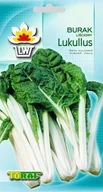 Nasiona i cebule - Toraf Burak liściowy Lukullus nasiona warzyw 5g 00064 - miniaturka - grafika 1