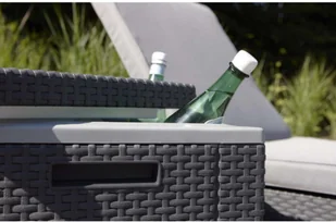 ALLIBERT Lodówka Pojemnik na lód i praktyczna pufa 213828 213828 - Pozostałe meble ogrodowe - miniaturka - grafika 3