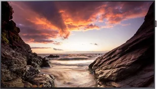 Samsung PM32F 32" czarny (LH32PMFPBGC/EN) - Monitory - miniaturka - grafika 2