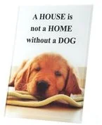 EUROFIRANY B.B. CHOCZYŃSCY SPÓŁKA JAWNA Ramka Zdjęcia C. PRINT, MÓWISZ I MASZ, biały, czarny, 12x18 cm - Ramki na zdjęcia EUROFIRANY B.B. CHOCZYŃSCY SPÓŁKA JAWNA Ramka Zdjęcia C. PRINT, MÓWISZ I MASZ, biały, czarny, 12x18 cm - Ramki na zdjęcia - miniaturka - grafika 3