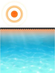 vidaXL Pokrywa na basen, czarna, 250 cm, PE - Akcesoria do basenów - miniaturka - grafika 2