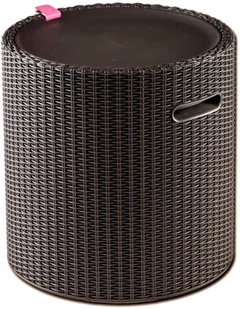 Keter Siedzisko ze schowkiem Cool Stool, brązowe, 43,3x44 cm, 39 l - Pozostałe meble ogrodowe - miniaturka - grafika 3