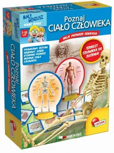 Lisciani Giochi Poznaj ciało człowieka - Mały naukowiec - miniaturka - grafika 2